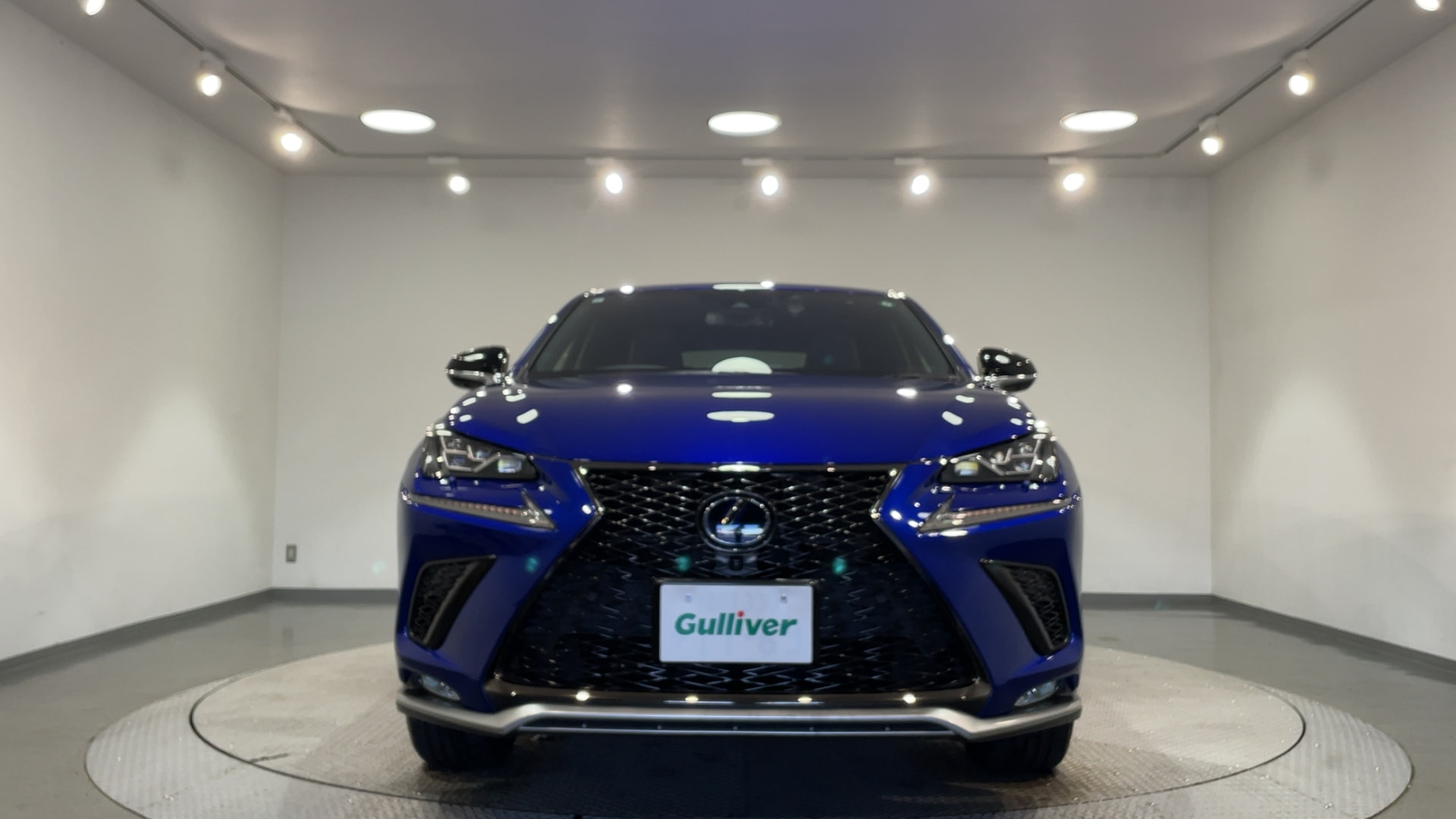 レクサス,NX,300h Fスポーツ,全方位カメラ 衝突軽減 追従走行 ETC2.0